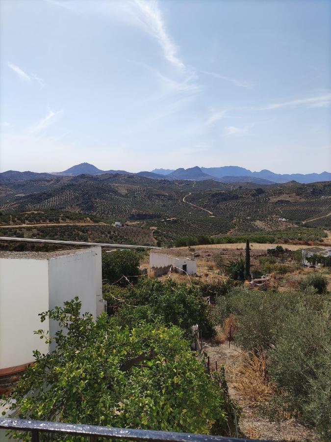 La Casa De Mi Rosa Villa Olvera Eksteriør billede
